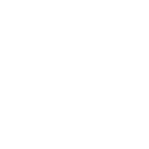 Laura Fantti: Educação e Marketing Digital Logo